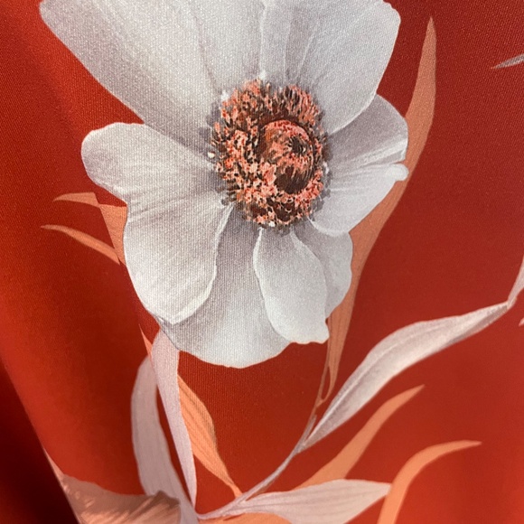 Ted Baker Floral Dress with Pockets - Picture 4 of 4